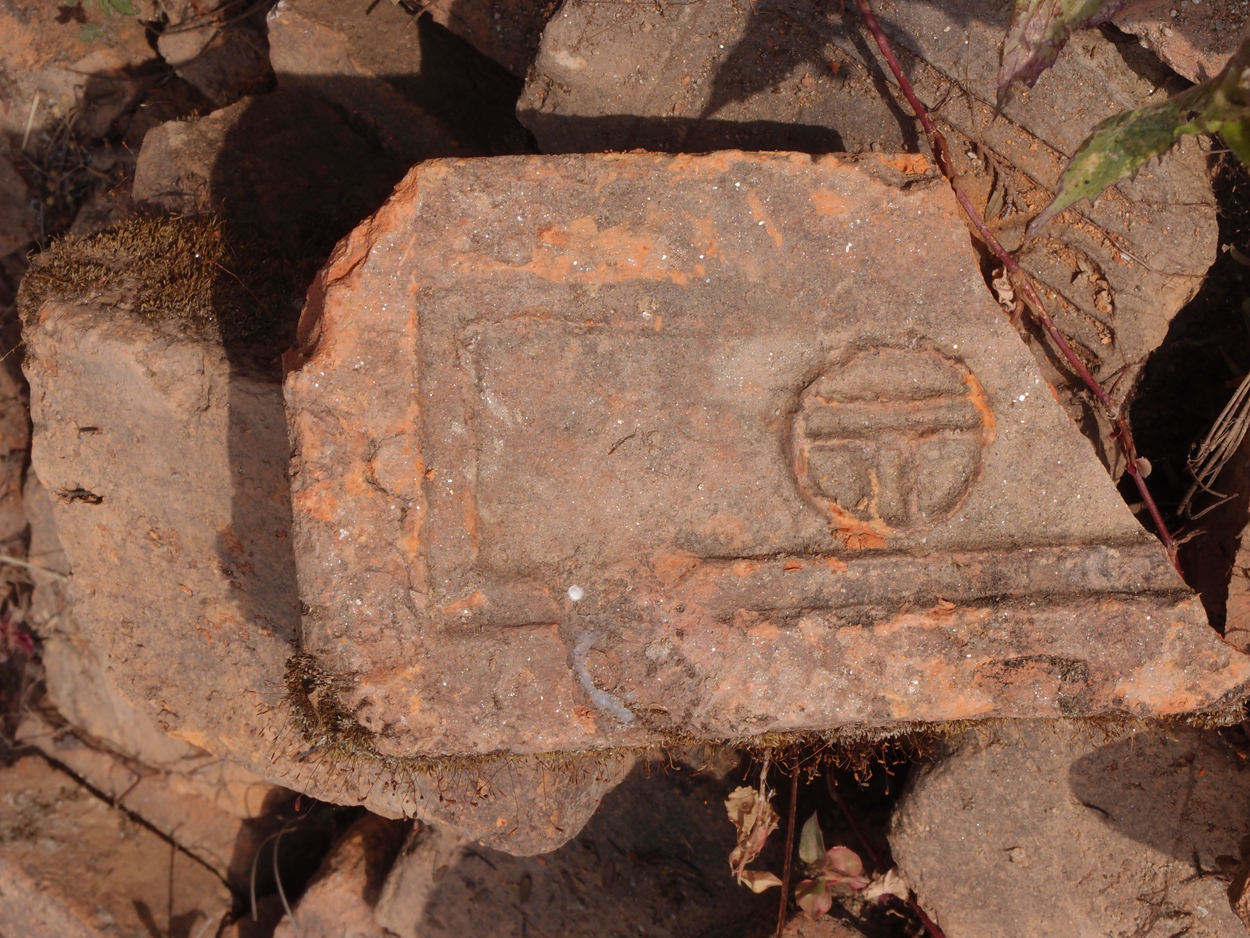 2018-01-16 12 Uhr - Im Shivapuri Nagarjun National Park (Nagi Gumba) (Foto) 